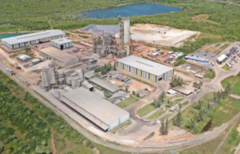 Foto: Brasil Mineral/Reprodução