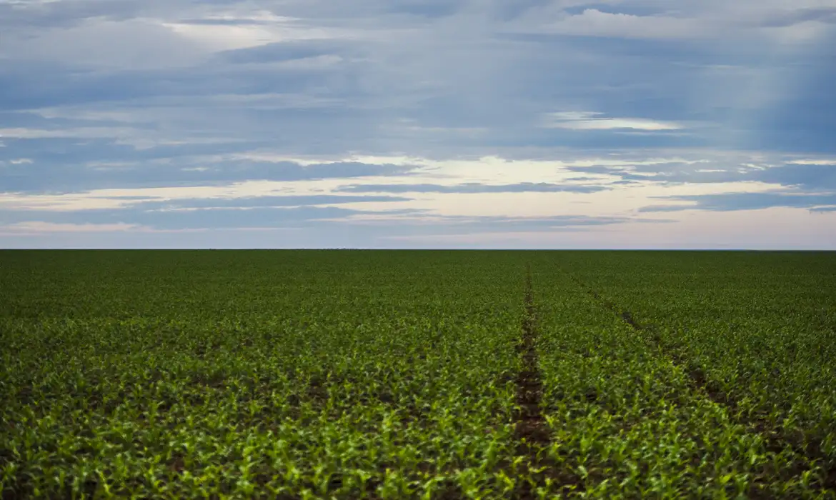 Seguro rural: parlamentares de MG e do PR cobram fortalecimento da política para dar previsibilidade ao agro