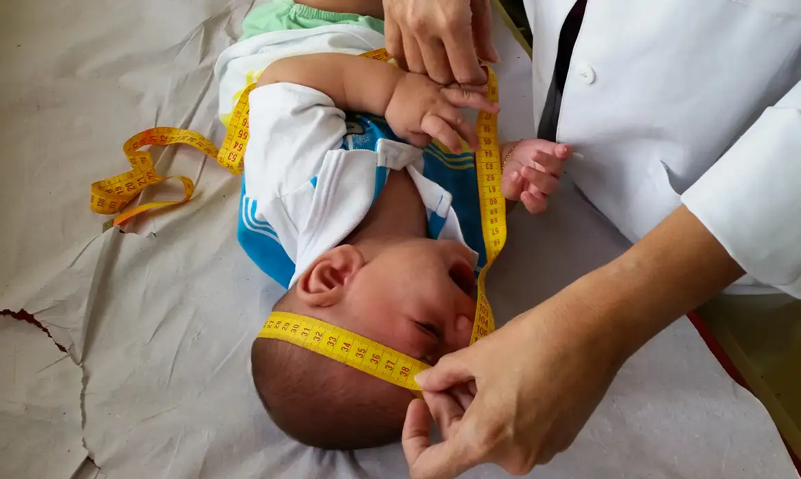 Imagem: Sumaia Villela/Agência Brasil