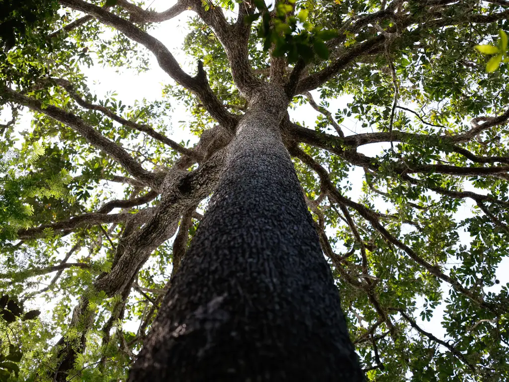 Foto: Fernando Frazão/Agência Brasil