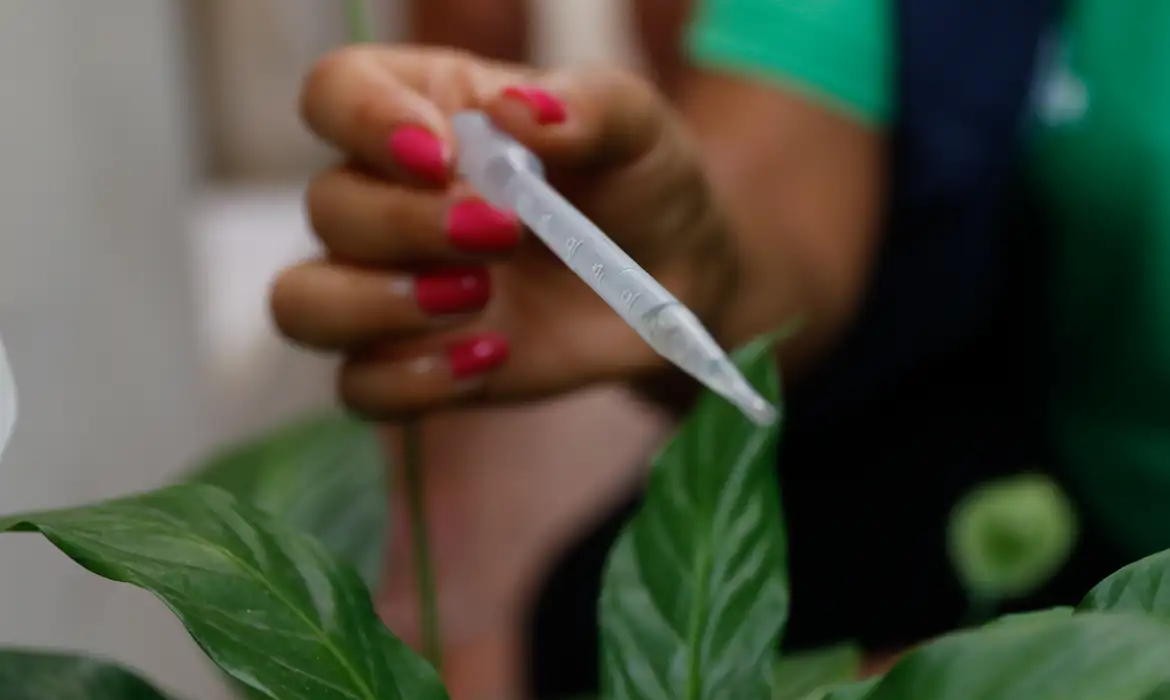 Ministério da Saúde  amplia o número de cidades que vão receber a vacina Foto: Fernando Frazão/Agência Brasil