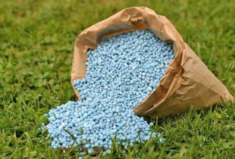 Foto: Brasil Mineral/Reprodução