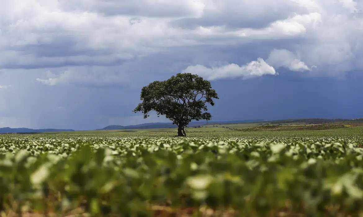 Foto: Marcelo Camargo/Agência Brasil