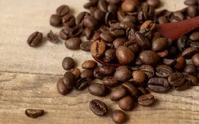 Foto: Freepik Foto: Freepik