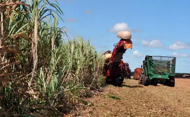 Foto: Reprodução arquivo Agência Brasil
