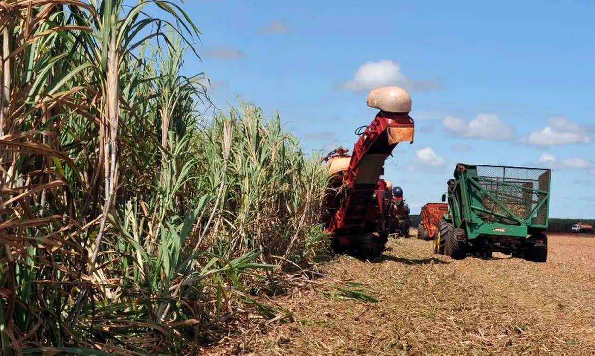 Agronegócio brasileiro amplia mercados e vendas no exterior Foto: Arquivo/Agência Brasil Agronegócio brasileiro amplia mercados e vendas no exterior Foto: Arquivo/Agência Brasil