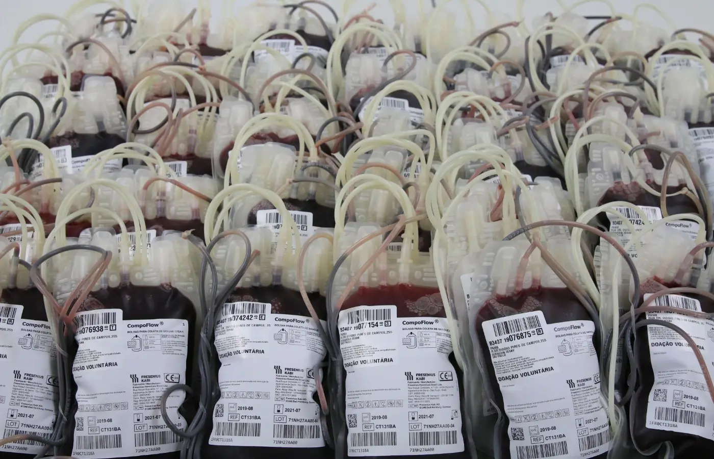 Mar Vermelho? Novas regras para doadores de sangue exigem adaptações de municípios