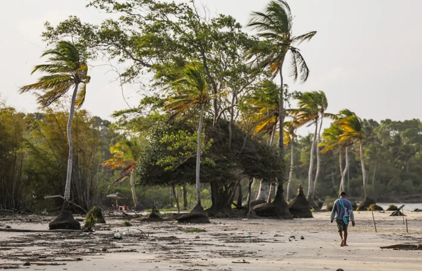 100% das iniciativas do MIDR estão alinhadas aos Objetivos de Desenvolvimento Sustentável 100% das iniciativas do MIDR estão alinhadas aos Objetivos de Desenvolvimento Sustentável