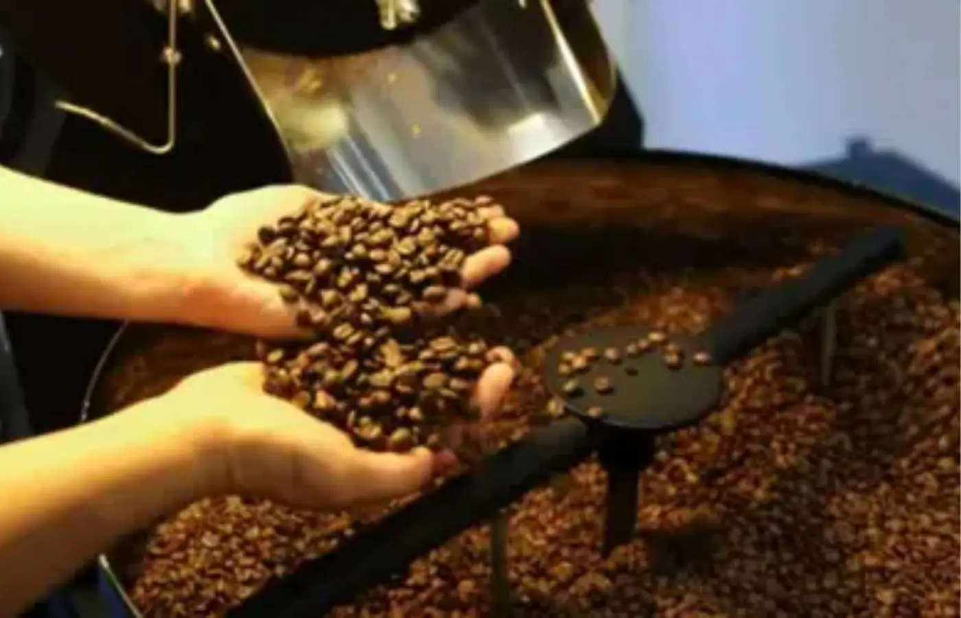 Café hoje: confira cotações para esta quarta-feira (13)