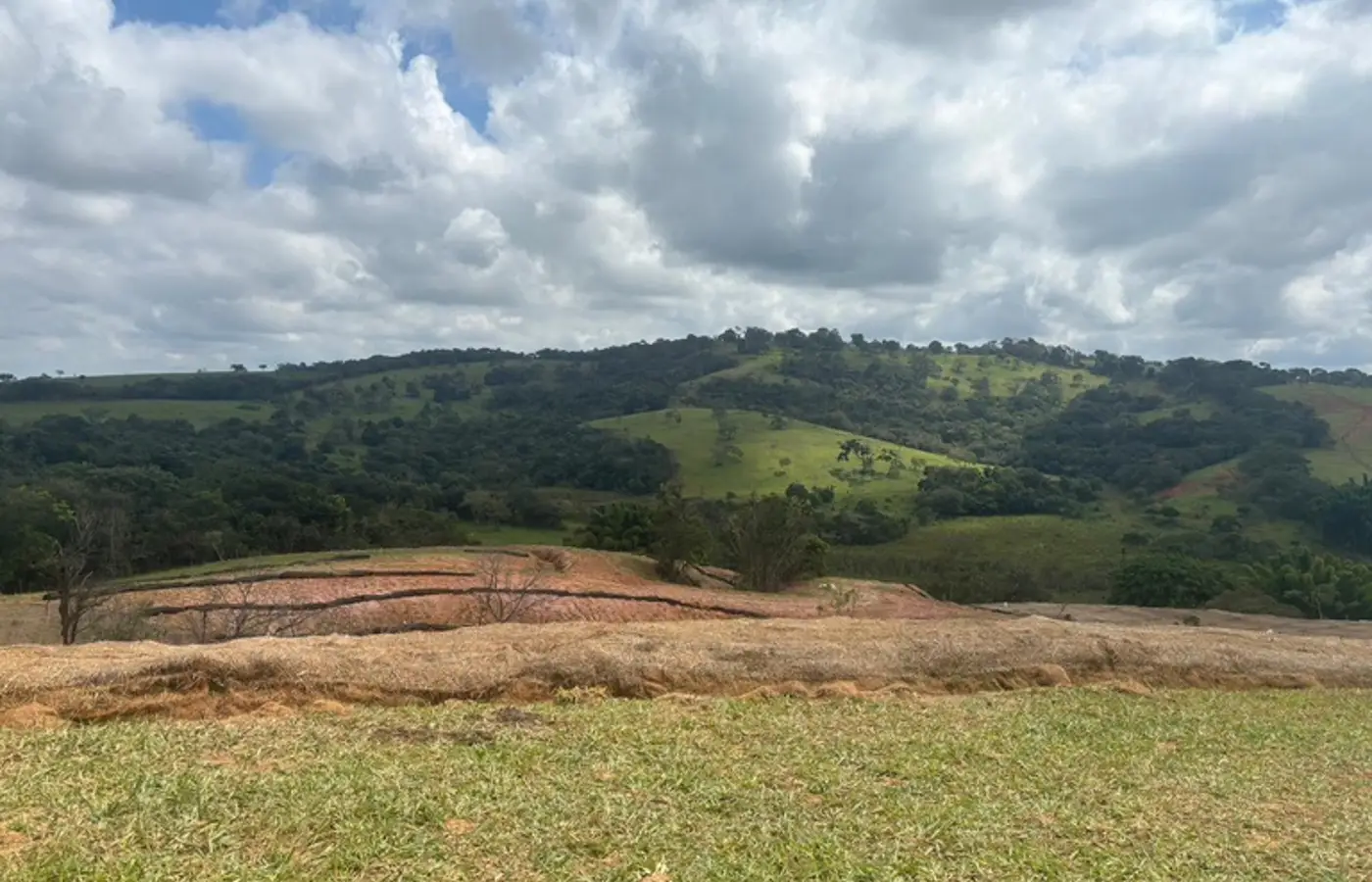 Recuperação de nascentes avança em Minas Gerais com apoio do MIDR