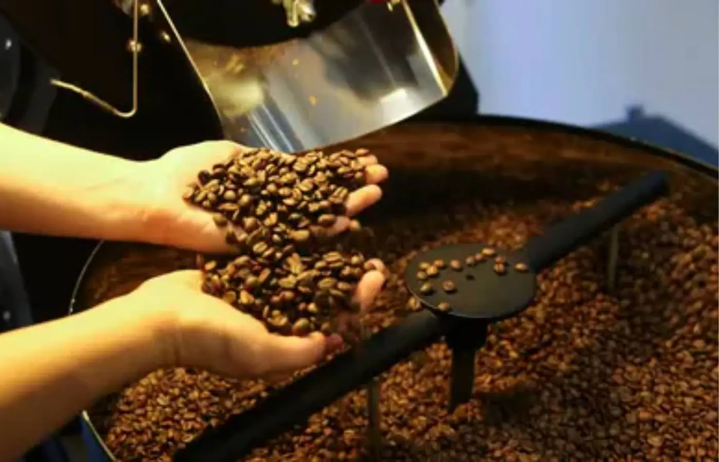 Café hoje: confira cotações para esta segunda-feira (18)