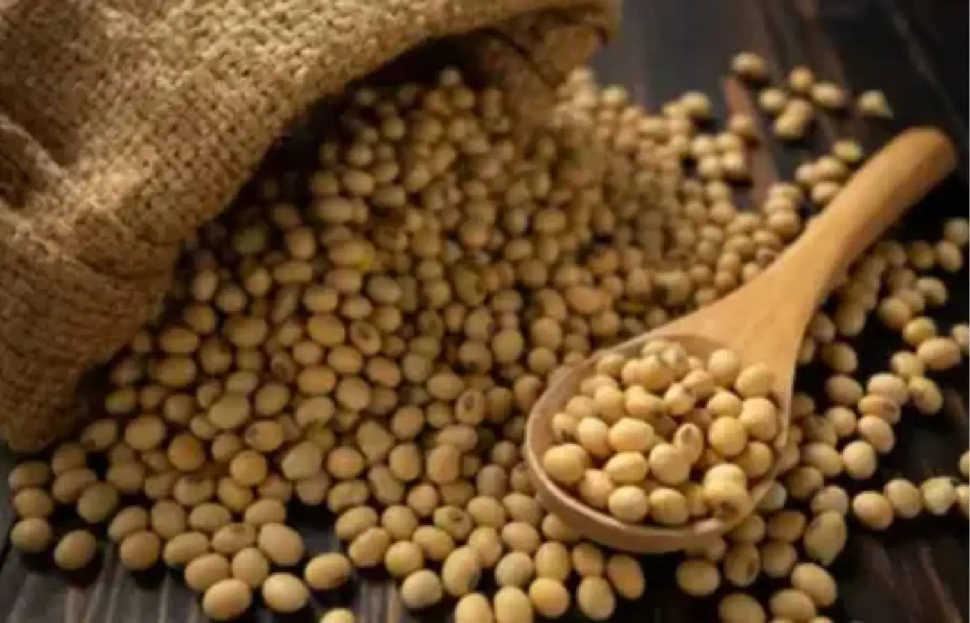 SOJA E TRIGO: confira preços dos grãos nas principais praças do país, nesta sexta-feira (24)