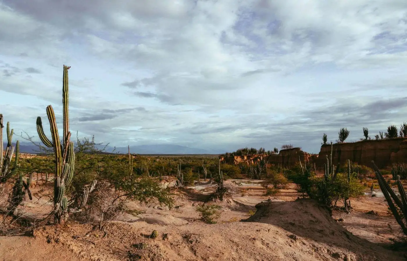 Mudanças climáticas podem levar Brasil a ter 12 dias de racionamento de água por ano até 2050