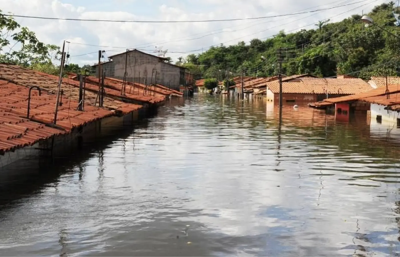 Orçamento verde: Comsefaz defende substituir lógica reativos por prevenção e resiliência climática