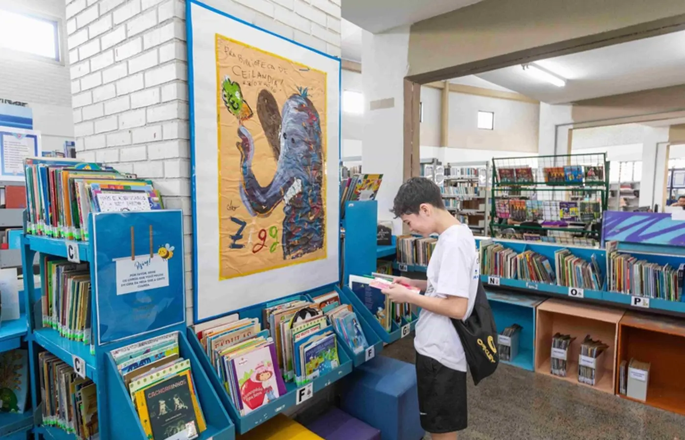 Lei define critérios para parcerias entre Pontos de Cultura e escolas