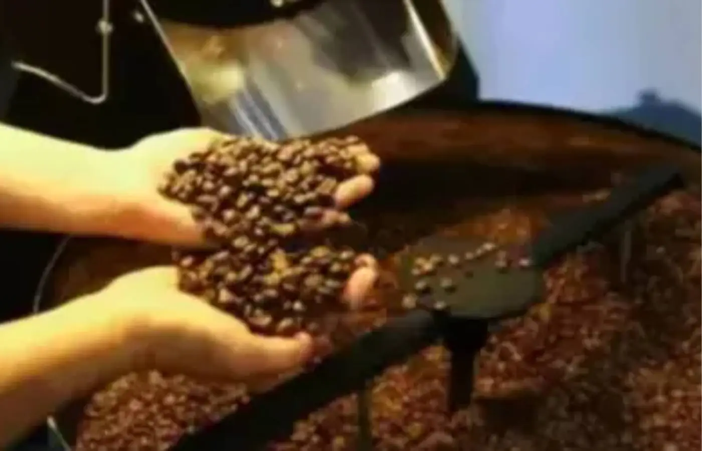 Café hoje: confira cotações para esta sexta-feira (12)