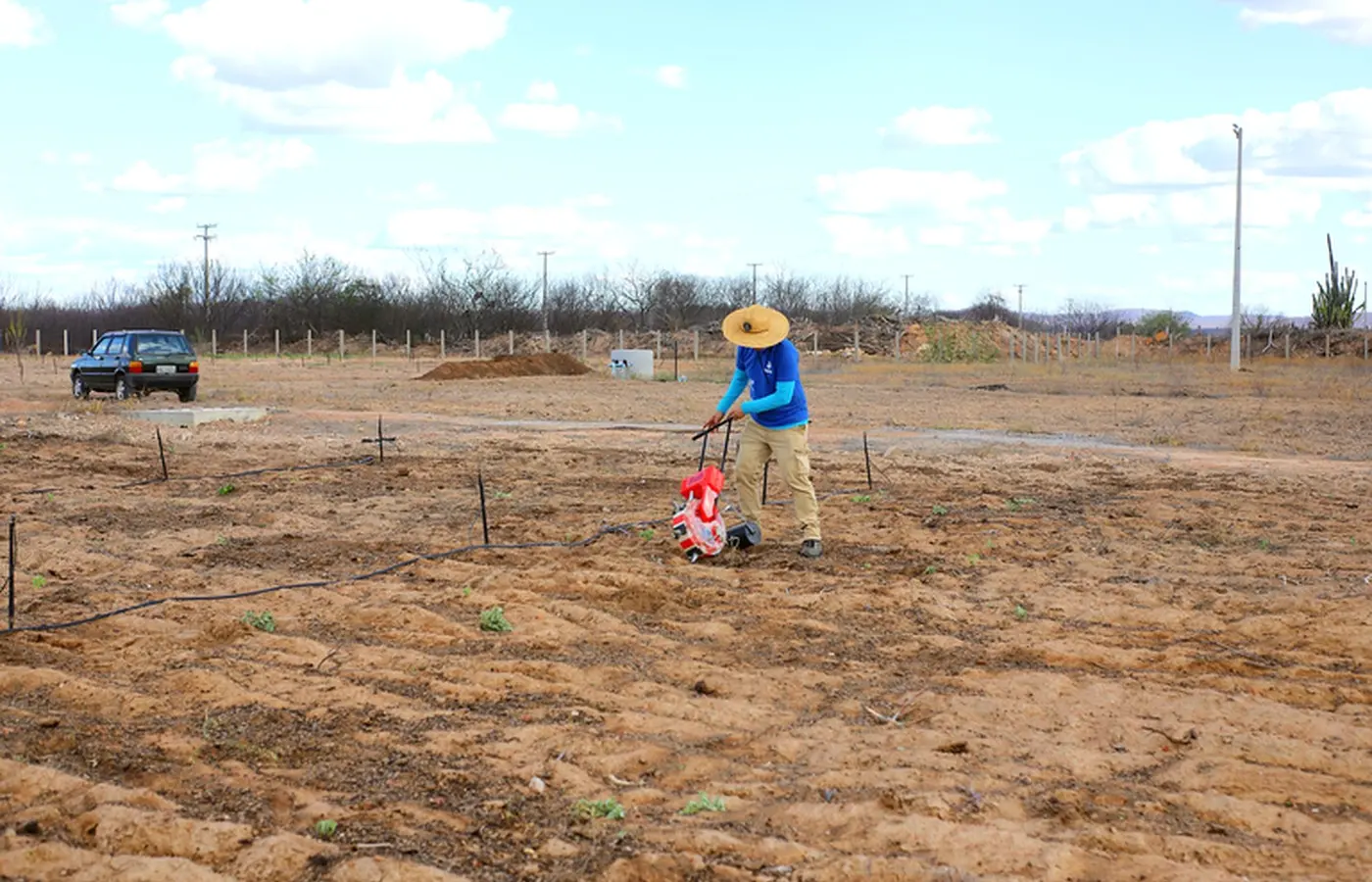 Começa cultivo em vila produtiva rural na região da transposição do Rio São Francisco Começa cultivo em vila produtiva rural na região da transposição do Rio São Francisco