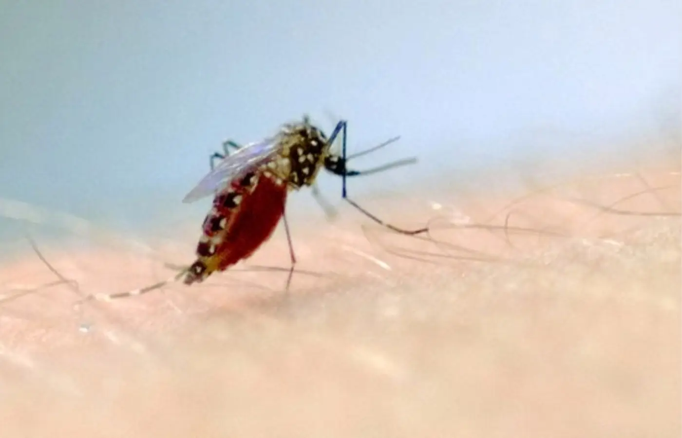 Preços de repelentes têm variação de até 110% entre sites de comércio online, segundo Procon-SP