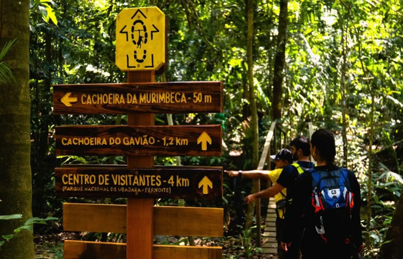 Turismo de natureza: estudo aponta retorno de R$ 15,60 para cada real investido em unidades de conservação