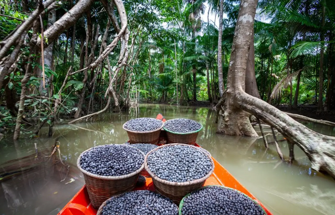 Amazônia: municípios têm R$ 131,9 milhões para regularização fundiária e assistência técnica