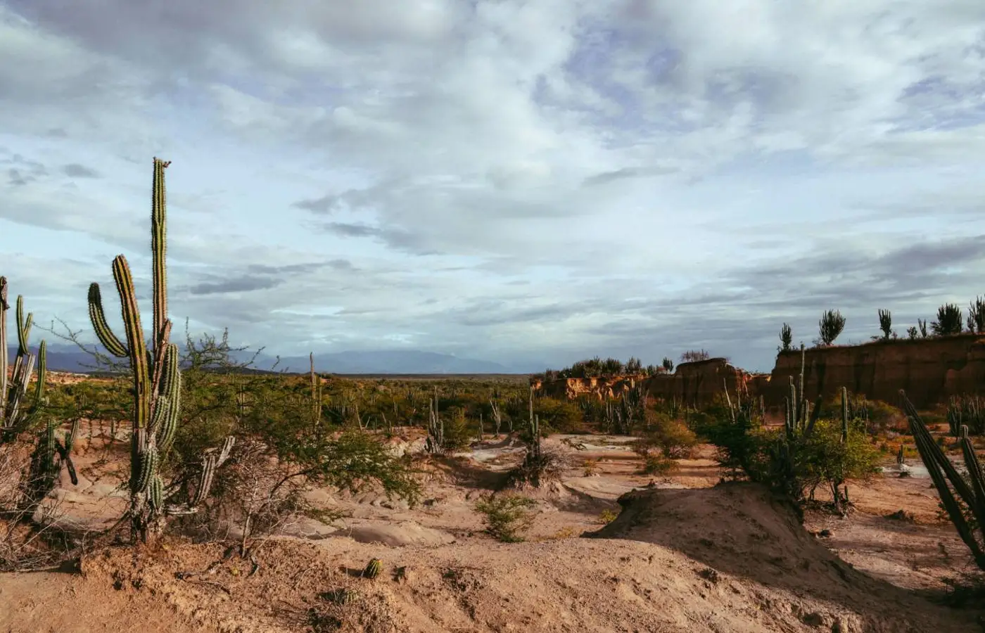  Brasil apresenta na COP17 ações de combate à desertificação e recuperação de áreas degradadas