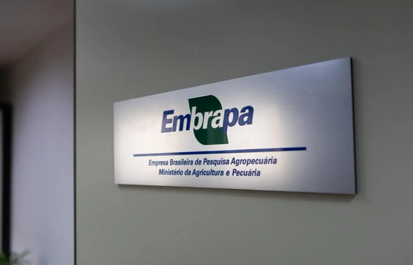 Embrapa inaugura escritório em São Paulo (SP) e firma parceria com Grupo Carrefour Brasil
