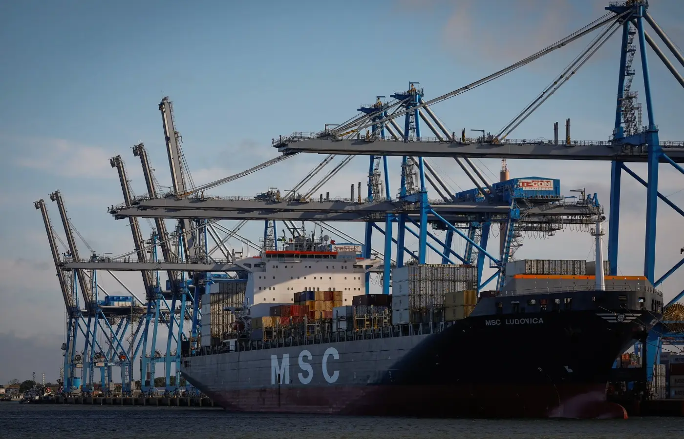 Chegam à China primeiras remessas brasileiras de DDGS