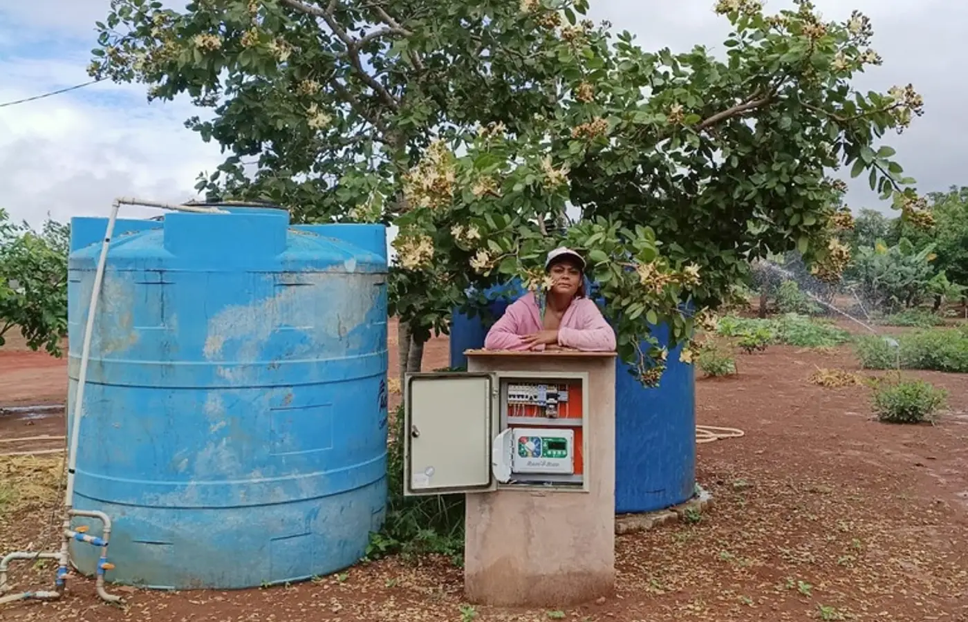 Microcrédito impulsiona autonomia financeira de mulheres no campo