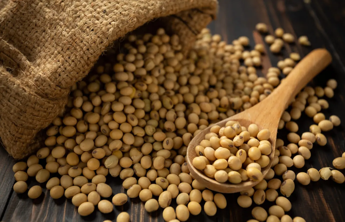 Soja e trigo hoje: confira as cotações para quinta (30) 