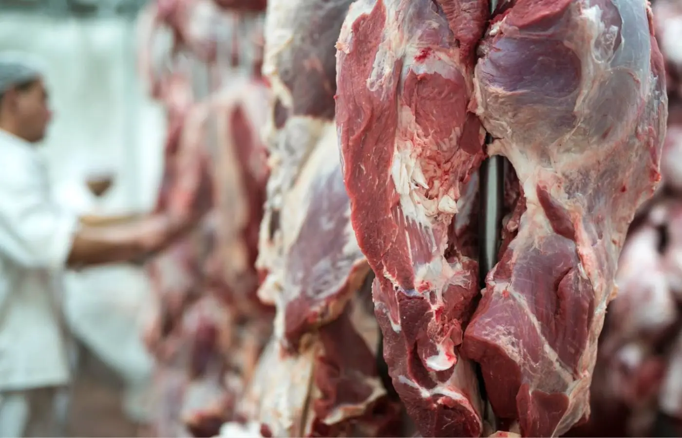 UE suspende importações de carnes do Brasil e setor busca alternativas 