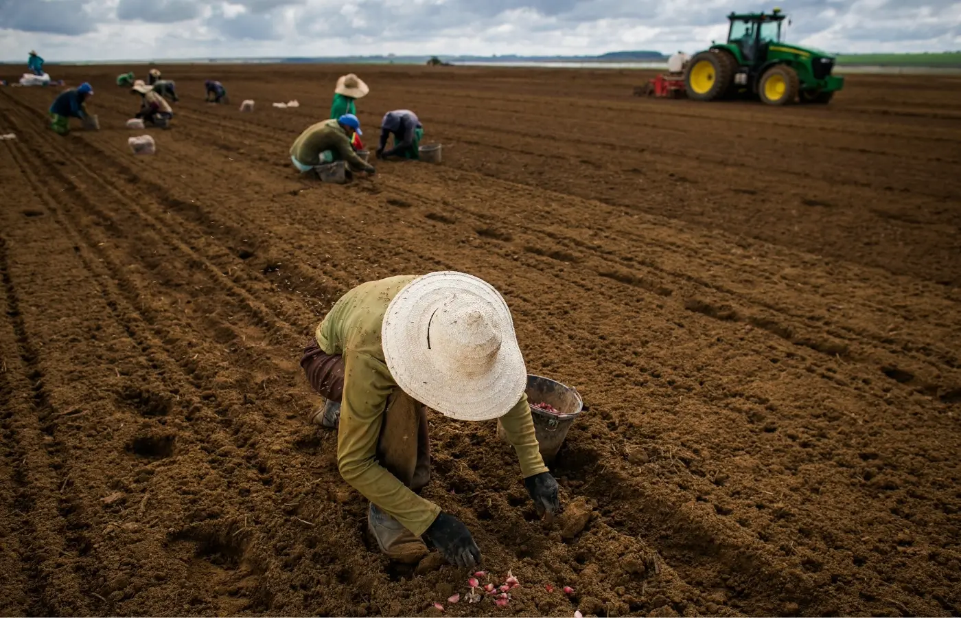 Governo atrasa pagamento de R$ 141 milhões de contratos do Seguro Rural