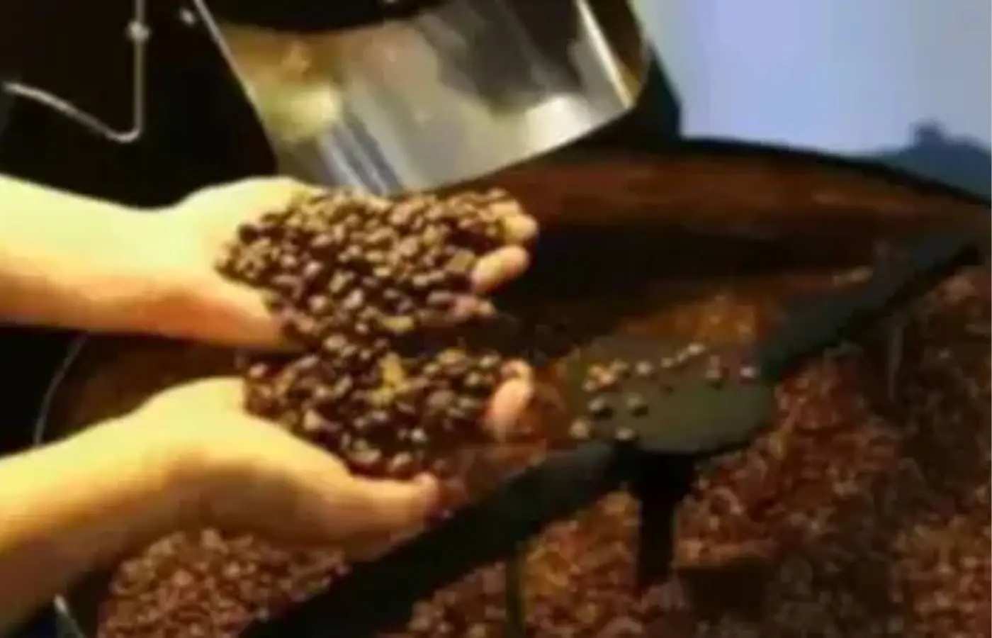 Café hoje: confira cotações para esta terça-feira (16)