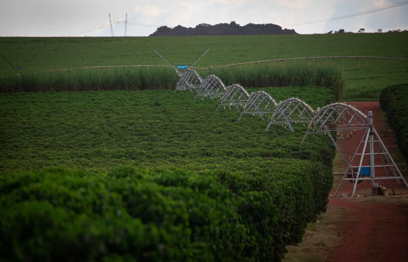 Setor produtivo e parlamentar paraenses esperam rapidez na aprovação da reforma do seguro rural