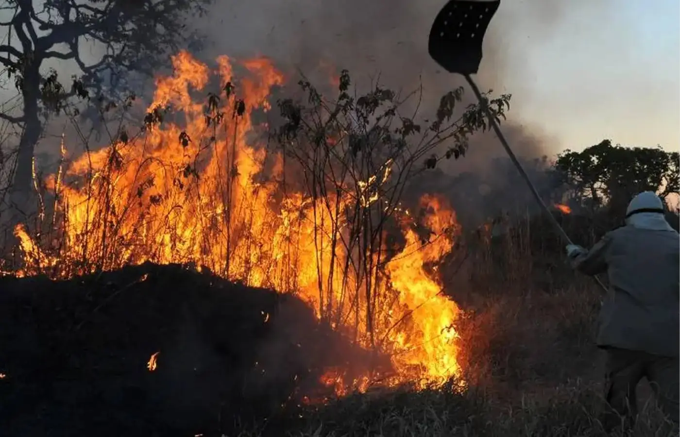 Mais de 500 municípios têm risco alto de fogo previsto até novembro, aponta governo
