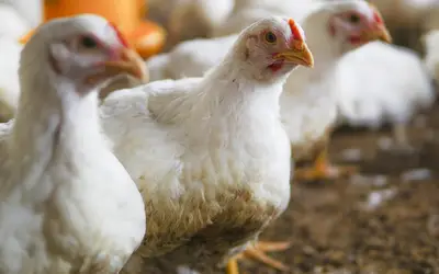 Foto: wirestock/Freepik Foto: wirestock/Freepik