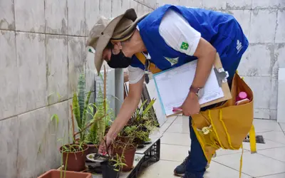 Foto: Tony Winston/Agência Saúde/GDF