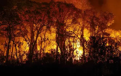 Foto: Joedson Alves/Agência Brasil  