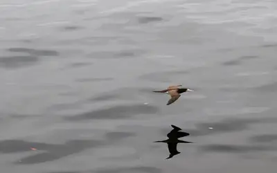 Foto: Tânia Rêgo/Agência Brasil