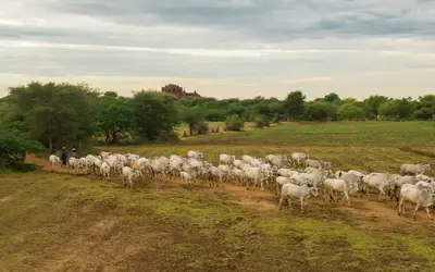 Foto: wirestock/Freepik Foto: wirestock/Freepik