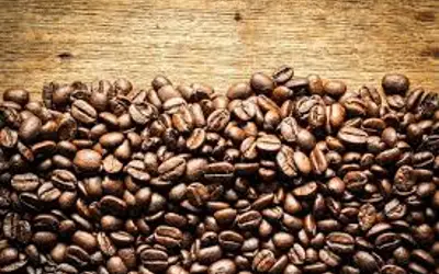 Imagem: Freepik Imagem: Freepik