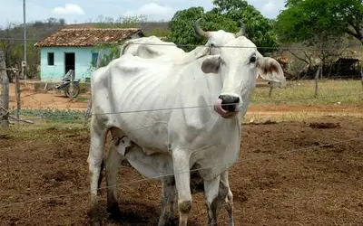 Foto: Valter Campanato/Agência Brasil