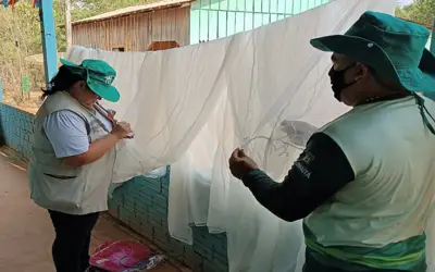 Foto: Reprodução FVS-RCP Foto: Reprodução FVS-RCP