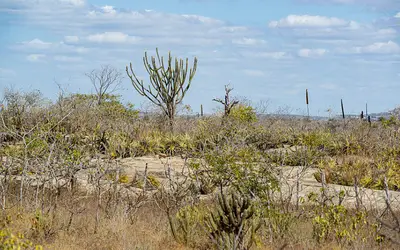 Foto: Divulgação/Sudene