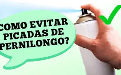 Foto: Dr. Ajuda!/divulgação