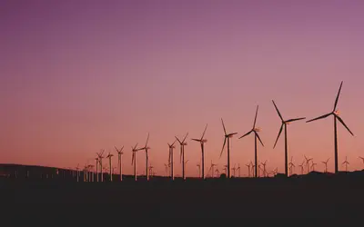 Imagem: Narcisa Aciko Seguir / Pexels