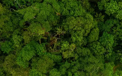 Foto: Reprodução Industria Verde/CNI