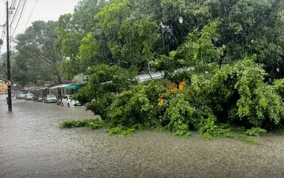 Foto: Diculgação/PRF Recife