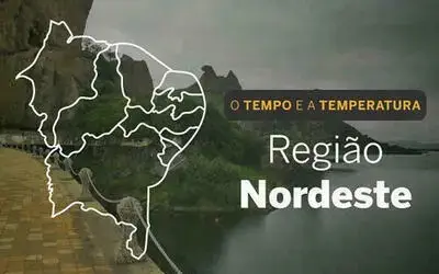 Brasil 61