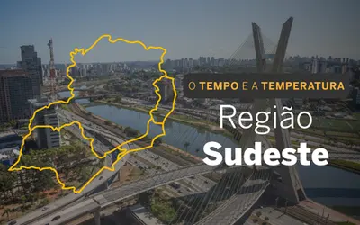 Foto: Brasil 61