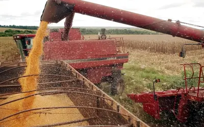 Agricultores brasileiros esperam que safra da soja cresça em 2024. Foto: Arquivo/Agência Brasil
